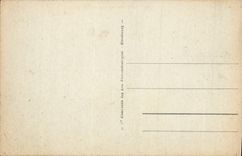 VINTAGE POSTCARD Landscape with the desert Camels