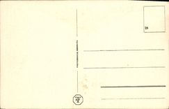 VINTAGE POSTCARD Der Mause Turm EIB Bingen