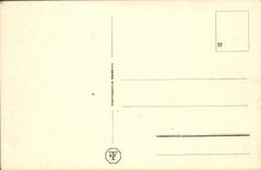 VINTAGE POSTCARD Schloss Rhenstein EIB Bingen