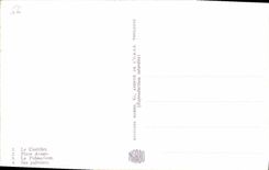 MODERN CARD Souvenir Of Perpignan Castillet Places Arago Palmarium palm trees