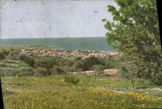 VINTAGE POSTCARD Caifa