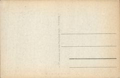 CPA Dans la Palmeraie