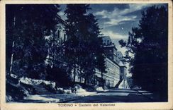 VINTAGE POSTCARD Torino Castello del Valentino