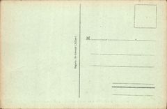 VINTAGE POSTCARD Route of Chambon to the Mount gilds the Falls of Surain