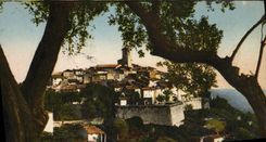 VINTAGE POSTCARD the Dimension of Saint Paul Azure View between the Olive-trees