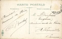 VINTAGE POSTCARD Nice Palm trees of the Public garden