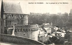 VINTAGE POSTCARD Castle Of Ferns On the Parapet of the Surienne Tower