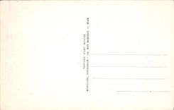 VINTAGE POSTCARD Nice View