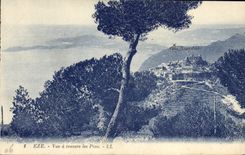 VINTAGE POSTCARD Eze Seen through the Pines