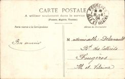 VINTAGE POSTCARD Pane the castle