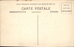 VINTAGE POSTCARD Castle of Combourg Cat