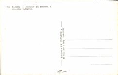 VINTAGE POSTCARD Algiers Mosque Of Hamma And Indigenous Cimetiere