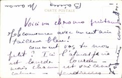 VINTAGE POSTCARD Fantasy Village