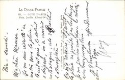 CPA Cote D'Azur Nice jardin Albert 1er