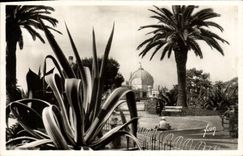 CPA Nice Cote Dazur Jardins Albert 1er