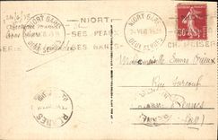 CPA Niort Une Allee Au Jardin De La breche