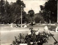CPM La Baule Les Pins Place Des Palmiers