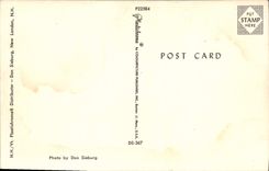 CPA Three More Payments