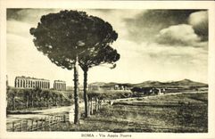 POSTAL Roma de la VENDIMIA vía Appia Nuova