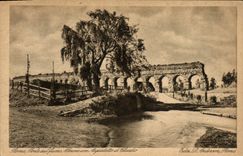 Sul Fiume del pez gordo de Roma de la POSTAL de la VENDIMIA