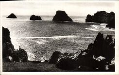 CPA Camaret Les Tas de Pois Vus de la Salle Verte 