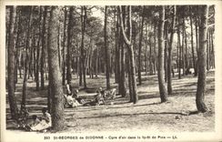 CPA St Georges de Didonne Cure d'air dans la foret de Pins 