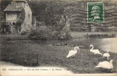 CPA Versailles Parc du Petit Trianon Le Moulin Cygnes