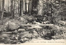 VINTAGE POSTCARD the Vosges Entered of the Valley of Chavons