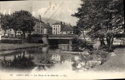 CPA Saint Die Les Bords de la Meurthe