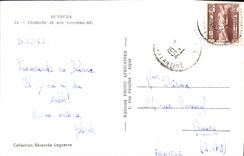 VINTAGE POSTCARD Ouarcla Chamelle and its new Camel