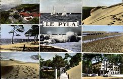 MODERN CARD Pyla the cornice the veils Ducklings in regattas