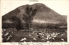 VINTAGE POSTCARD Beach of sheep to the Foot of Puy de Dome