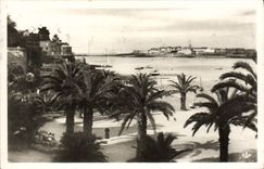 CPA Dinard La palmeraie Au fond St Malo