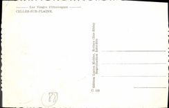 VINTAGE POSTCARD the Picturesque Vosges Those On Plain