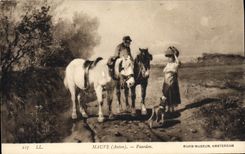 CPA Mauve Paarden Rijkss Museum Amsterdam Cheval Chien