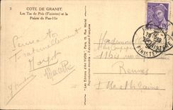 Montones del guisante de la POSTAL de la VENDIMIA y tapa de la PLUMA Hir