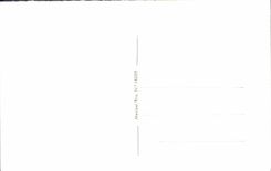 Estanque del EL Escorial Fachada del Mediodia de la POSTAL de la VENDIMIA allí