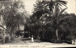 Camisa del hospital de Argel de la POSTAL de la VENDIMIA que ocurrió muesca