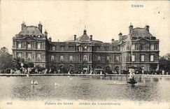 CPA Paris Palais du Senat Jardin Du Luxembourg