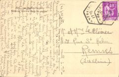 VINTAGE POSTCARD the High Vosges Light effect in the fir trees