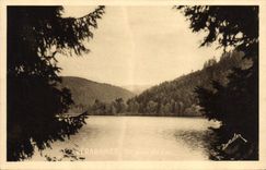 VINTAGE POSTCARD Gerardmer a Corner of the Lake