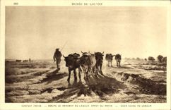 VINTAGE POSTCARD Museum Of Louvre Constant TRoyon Oxen going to the ploughing Effect of the morning