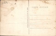 CPA Bagnere De Bigorre Excursion Au Lac Bleu Anes