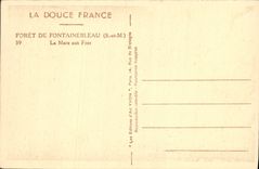 CPA Foret De Fontainebleau La Mare aux Fees