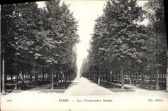 CPA Reims Les Promenades Basses