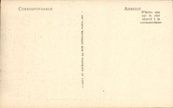 CPA Pointe Du Raz Le Chateau de Dinan