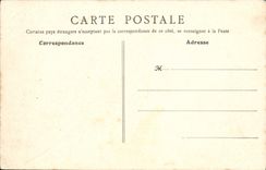 VINTAGE POSTCARD Clermont Ferrand the Petrifying Fountain Monkey Bear Cow Goat Ass Mule