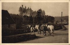 VINTAGE POSTCARD Castle of Pierrefonds East coast Cheavl Horses