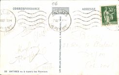 VINTAGE POSTCARD Antibes seen through the Palm trees