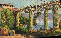 CPA Cote D'Azur Pergola sur le Littoral